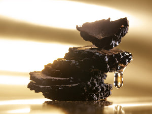 white truffle extracts