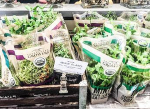 GROWING HAIR: FASTER AND HEALTHIER - Cuvée Beauty