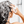 Shampoo - Cuvée Beauty - premium champagne infused haircare